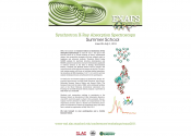 Poster - Synchrotron X-Ray Absorption Spectroscopy Summer School